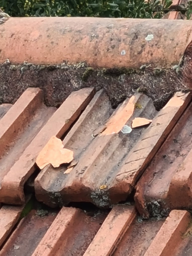 Artisan couvreur pour tous vos travaux de couverture à Maison-Lafitte (78600) - ODS Couverture dans les Yvelines (78)